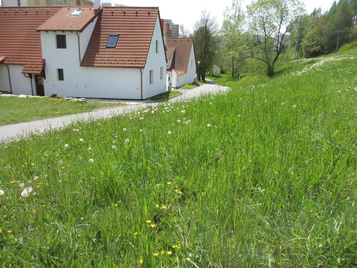 Apartmany U Prochazku Český Krumlov 外观 照片